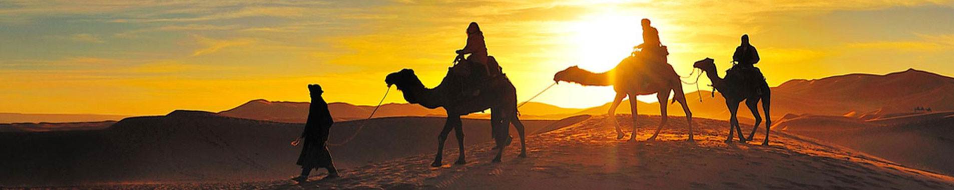 tourist riding camel during desert trekking